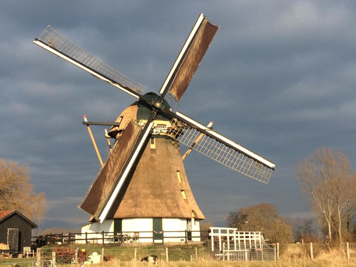 Mondriaanmolen, A Real Windmill Close To Amsterdam Абкауде Екстериор снимка