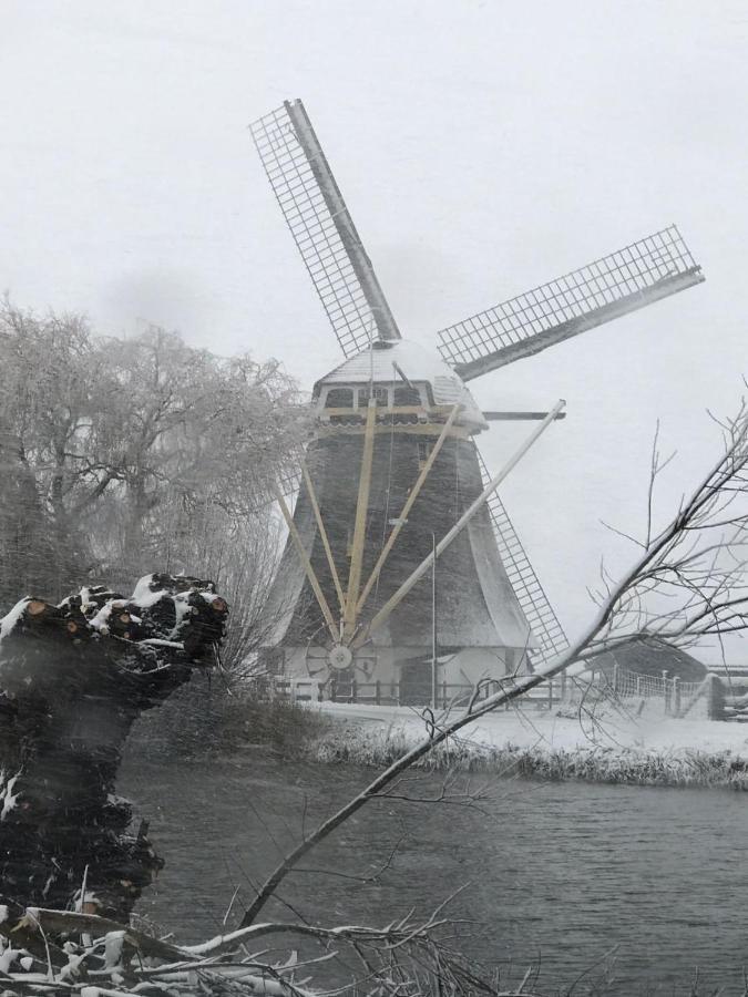 Mondriaanmolen, A Real Windmill Close To Amsterdam Абкауде Екстериор снимка